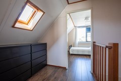 Zeester 43-35.jpg